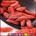 Sucre moins baies de goji baies de goji ningxia goji améliorer la vision